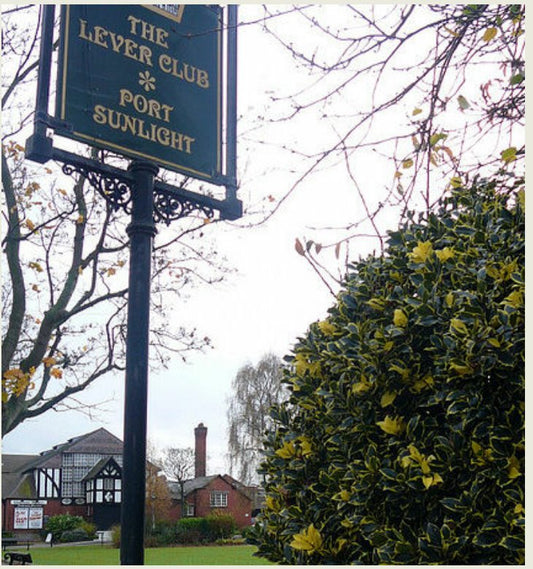 🎉 Don’t Miss This Feel Good Afternoon at The Lever Club – Monday 28th April! 🎶🔥