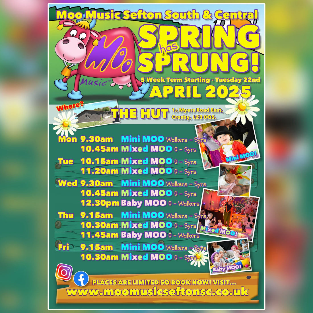 Spring Into Fun with Moo Music Sefton South & Central! 🌼🎵