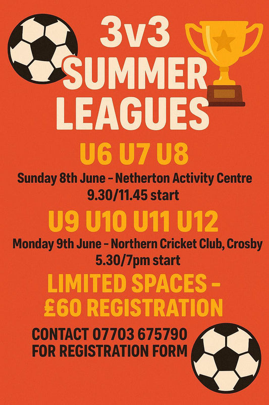 Tri-Ball 3v3 Summer League: Small Teams, Big Impact!