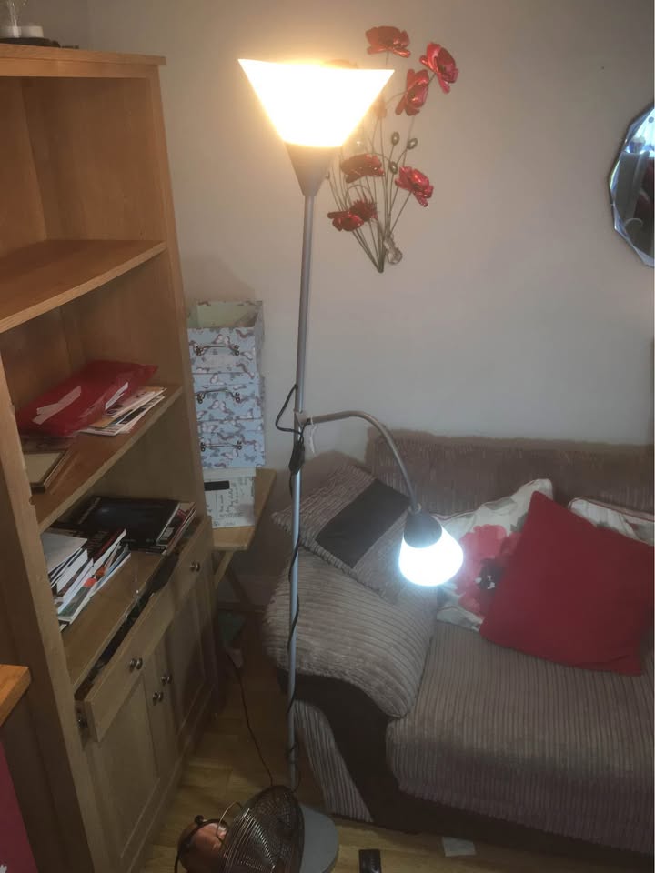 Floor lamp