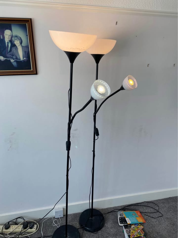 Pair of floor lamps