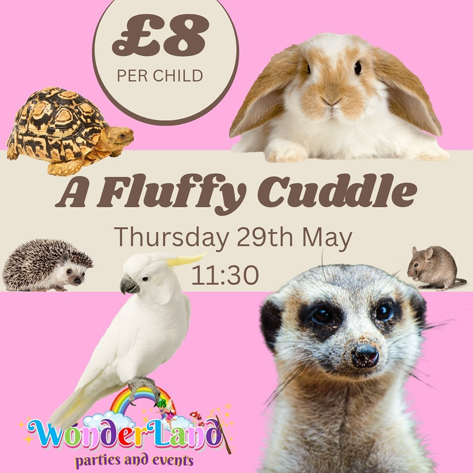 A Fluffy Cuddle Returns – Meet the Cutest Creatures in Town This May!